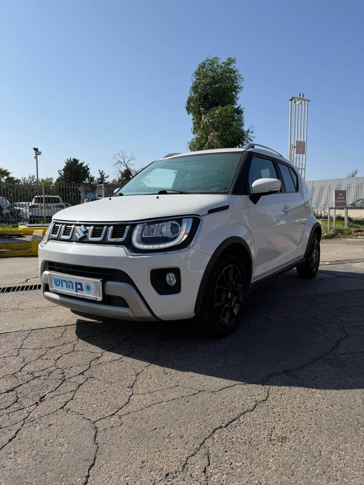 סוזוקי איגניס